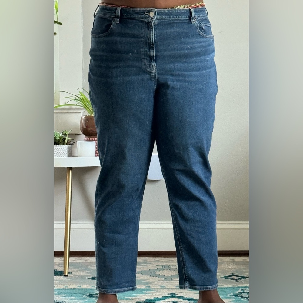 AE Stretch Mom Jean 18 L